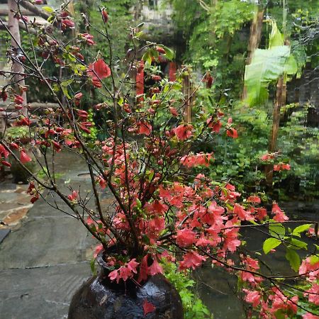 WuYuan QiYe YanXiang Guesthouse Luaran gambar