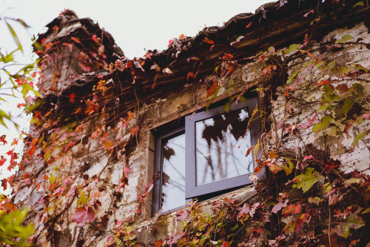 WuYuan QiYe YanXiang Guesthouse Luaran gambar